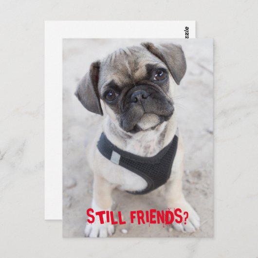 Bulldog-Hündchen sieht niedlich aus Postkarte (Vorne/Hinten)