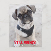 Bulldog-Hündchen sieht niedlich aus Postkarte (Vorderseite)