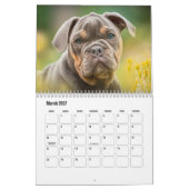 Bulldog-Hundekalender Kalender (Mär 2027)