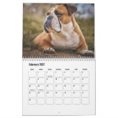 Bulldog-Hundekalender Kalender (Feb 2027)