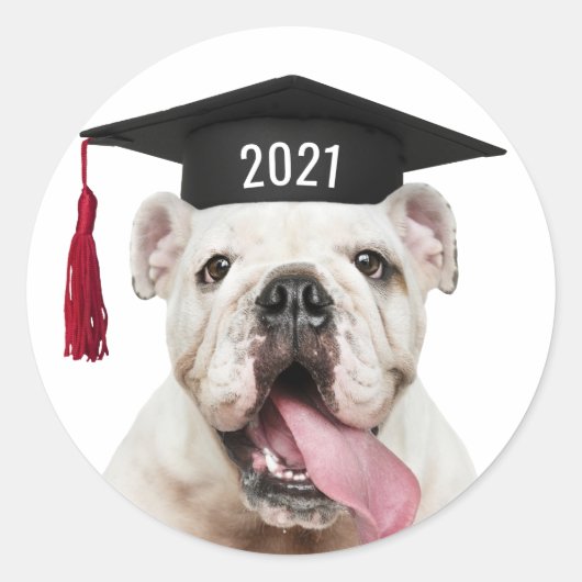 Bulldog in Graduation Cap with Class Year Runder Aufkleber (Vorderseite)