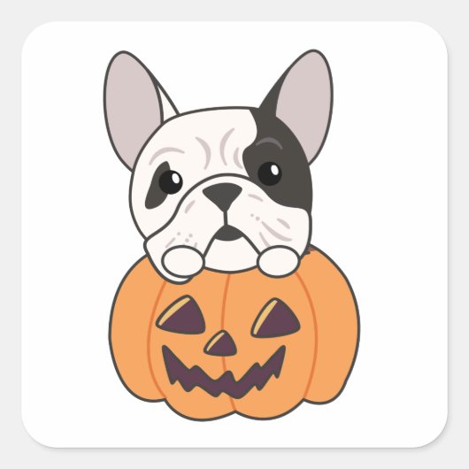 Bulldog in Pumpkin Niedliche Hunde glücklichen Hal Quadratischer Aufkleber (Vorderseite)