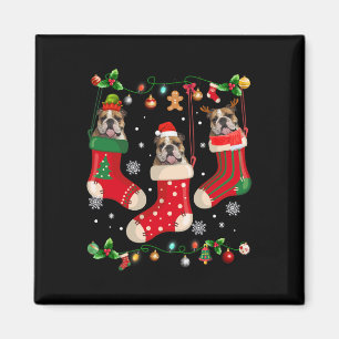 Bulldog in Sock Weihnachten Weihnachten Weihnachts Magnet