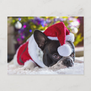Bulldog in Weihnachtsmannmütze unter Weihnachtsbau Feiertagspostkarte