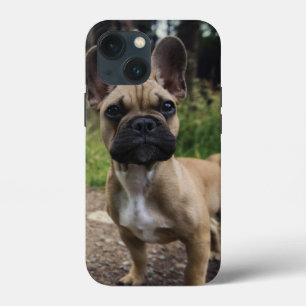 Bulldog-Kissen Case-Mate iPhone Hülle
