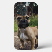 Bulldog-Kissen Case-Mate iPhone Hülle (Rückseite)