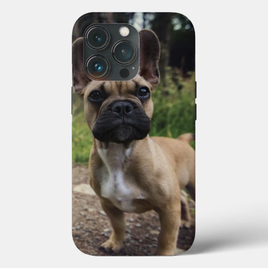Bulldog-Kissen Case-Mate iPhone Hülle (Rückseite)