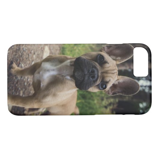 Bulldog-Kissen Case-Mate iPhone Hülle (Rückseite (Horizontal))