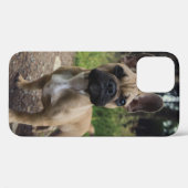 Bulldog-Kissen Case-Mate iPhone Hülle (Rückseite (Horizontal))