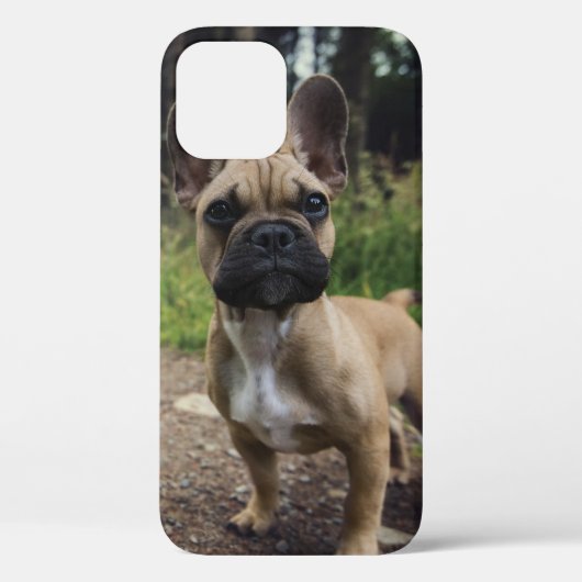 Bulldog-Kissen Case-Mate iPhone Hülle (Rückseite)