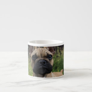 Bulldog-Kissen Espressotasse