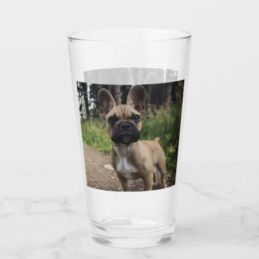 Bulldog-Kissen Glas (Rückseite)