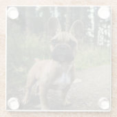 Bulldog-Kissen Glasuntersetzer (Rückseite)