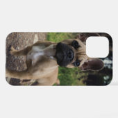 Bulldog-Kissen iPhone Hülle (Rückseite (Horizontal))