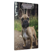 Bulldog-Kissen Klemmbrett (Rechts)