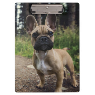 Bulldog-Kissen Klemmbrett