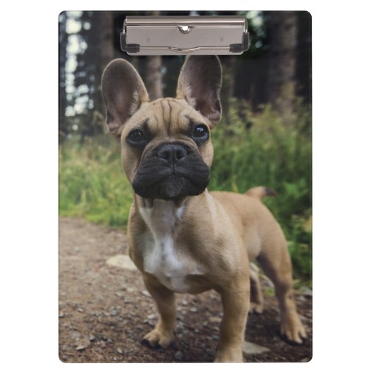 Bulldog-Kissen Klemmbrett (Vorderseite)