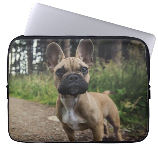 Bulldog-Kissen Laptopschutzhülle (Vorderseite)