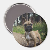 Bulldog-Kissen Magnet (Vorderseite/Rückseite)