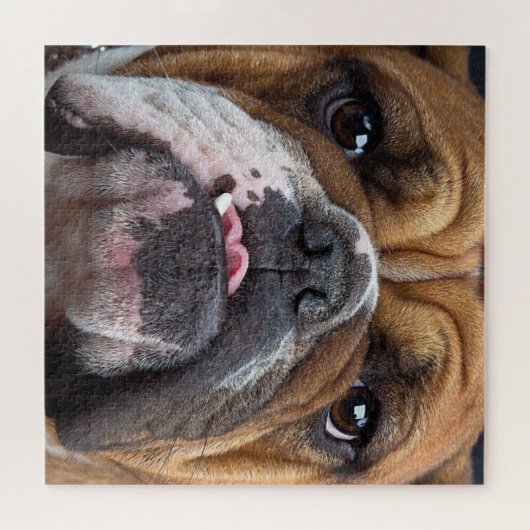 Bulldog-Kissen Puzzle (Horizontal)