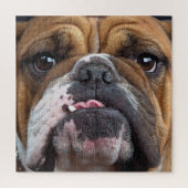 Bulldog-Kissen Puzzle (Vertikal)