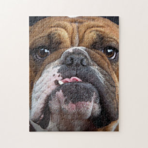 Bulldog-Kissen Puzzle
