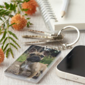 Bulldog-Kissen Schlüsselanhänger (Vorderseite rechts)