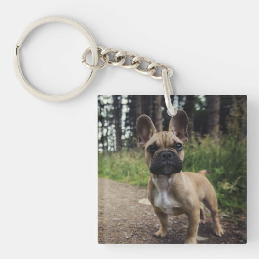 Bulldog-Kissen Schlüsselanhänger (Vorderseite)