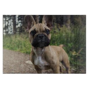 Bulldog-Kissen Schneidebrett