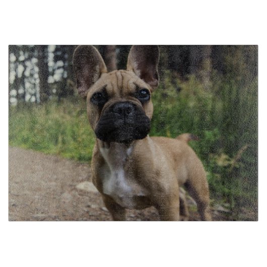 Bulldog-Kissen Schneidebrett (Vorderseite)