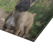 Bulldog-Kissen Schneidebrett (Ecke)