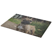 Bulldog-Kissen Schneidebrett (Ecke)