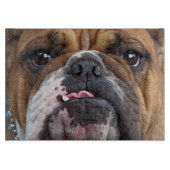 Bulldog-Kissen Schneidebrett (Vorderseite)
