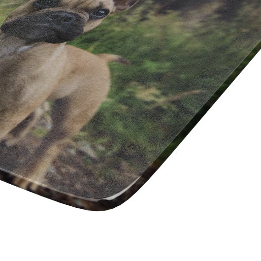 Bulldog-Kissen Schneidebrett (Ecke)