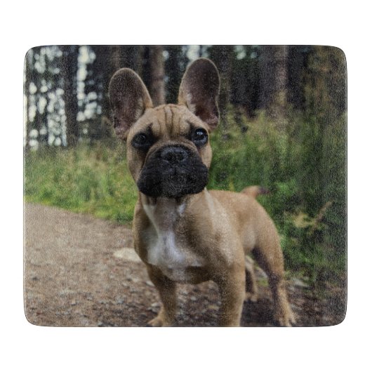 Bulldog-Kissen Schneidebrett (Vorderseite)