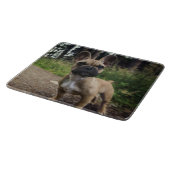 Bulldog-Kissen Schneidebrett (Ecke)