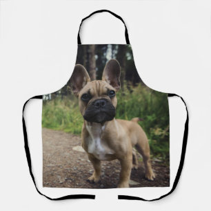 Bulldog-Kissen Schürze