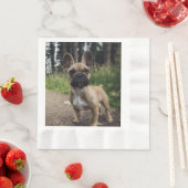 Bulldog-Kissen Serviette (Beispiel)