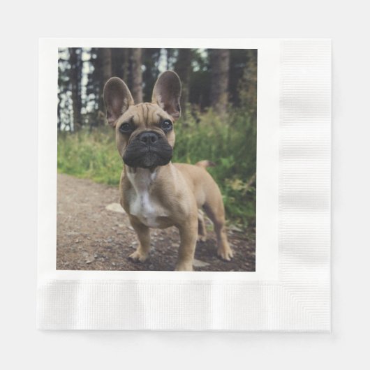 Bulldog-Kissen Serviette (Vorderseite)