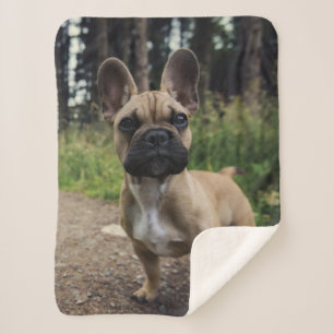 Bulldog-Kissen Sherpadecke