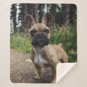 Bulldog-Kissen Sherpadecke