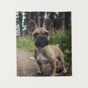 Bulldog-Kissen Wandteppich