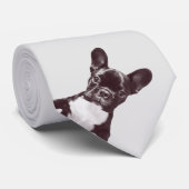 BullDog-Krawatte Krawatte (Gerollt)