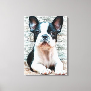 Bulldog Leinwand Art Print