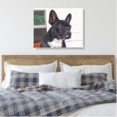 Bulldog Leinwanddruck (Insitu (Schlafzimmer))