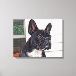 Bulldog Leinwanddruck