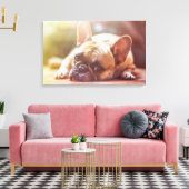 Bulldog Leinwanddruck (Insitu (Wohnzimmer))