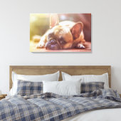 Bulldog Leinwanddruck (Insitu (Schlafzimmer))