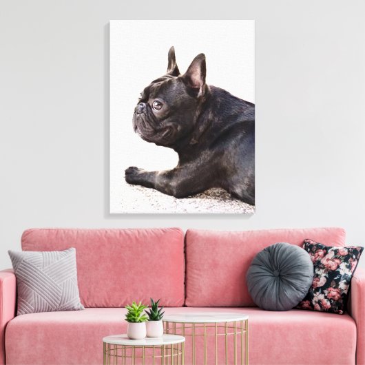 Bulldog Leinwanddruck (Insitu (Wohnzimmer))