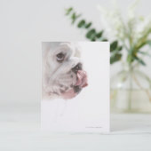 Bulldog Licking Postkarte (Stehend Vorderseite)